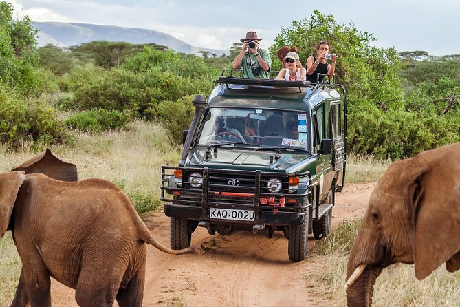 4-Days Private Midrange Safari Tarangire, Serengeti & Ngorongoro - Day 2: The Ngorongoro viewpoint and first Serengeti drive