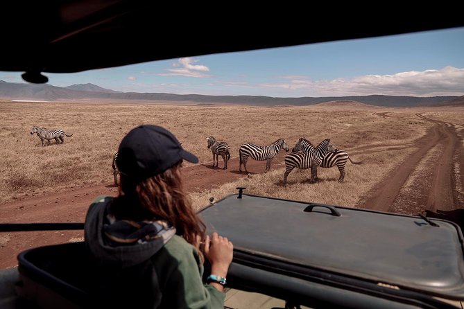 4-Days Private Midrange Safari Tarangire, Serengeti & Ngorongoro - Day 3: Early Serengeti sightings, then toward Ngorongoro