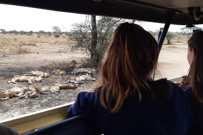 4-Days Private Midrange, Tarangire Ngorongoro, Manyara & Materuni - What $1,921.35 buys you over four days