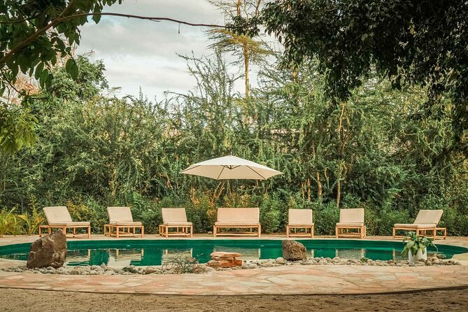 4-Days Private Midrange, Tarangire Ngorongoro, Manyara & Materuni - Day 4: Materuni coffee, village life, and a waterfall walk