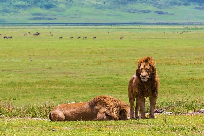 4-Days Private Midrange, Tarangire Ngorongoro, Manyara & Materuni - The private 4x4 and why the setup matters