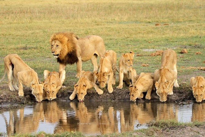 4 Days Private Migration Midrange Safari - Lodging near the migration zone