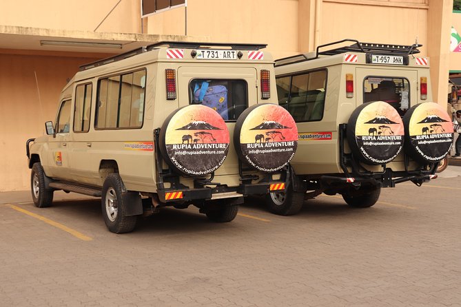 4 Days Private Safari - Tarangire, Serengeti & Ngorongoro Crater - Guides, Drivers, and the Shape of the Group