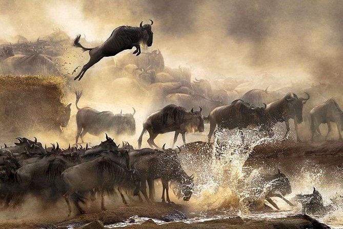 4 days Private Safari Tour Tanzania - Day 4: Inside the Ngorongoro Crater