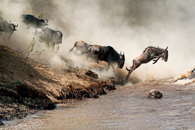 4 days Private Safari Tour Tanzania - What the $2,500 price includes