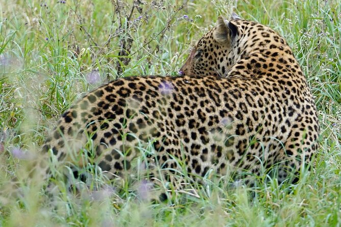 4 Days Private Tour Tarangire Crater and Serengeti - Key points at a glance