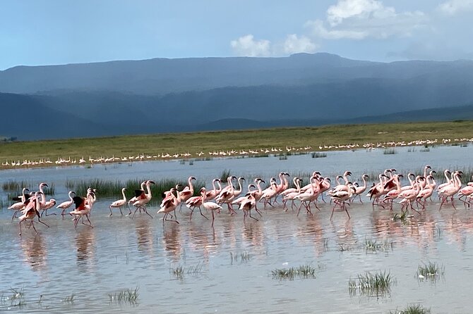 4 Days Private Tour Tarangire Crater and Serengeti - Day 2: Crossing toward the Serengeti