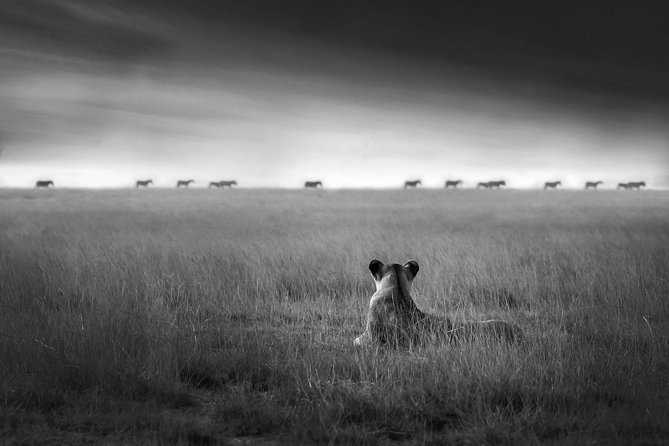 4 days safari in Tanzania - Day 2: The road to central Serengeti is part of the experience
