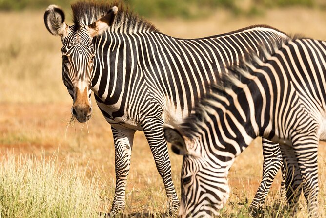 4 Days Safari to Tarangire, Serengeti and Ngorongoro - Day two: the long road to the Serengeti