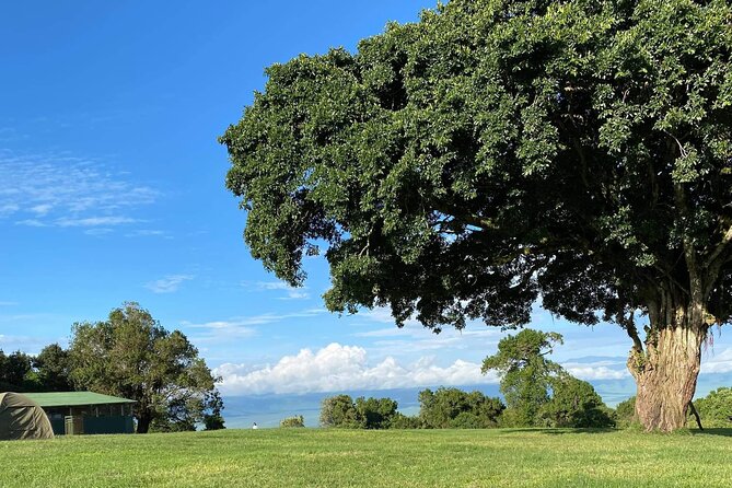 4 Days safari Tour Tanzania - The 4x4 and the daily rhythm