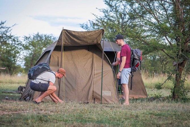 4 Days safari Tour Tanzania - Day 1: elephants and baobabs in Tarangire