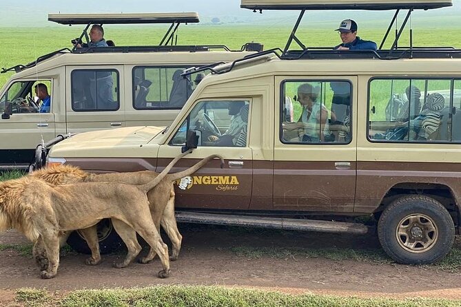 4 Days Serengeti, Ngorongoro and Tarangire Safari - Three parks, three very different safari moods
