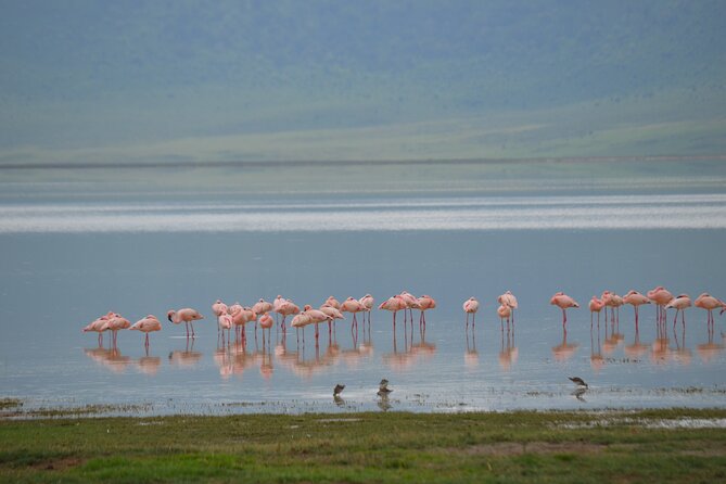 4 days serengeti & ngorongoro mid range tour - Who will enjoy this route most?