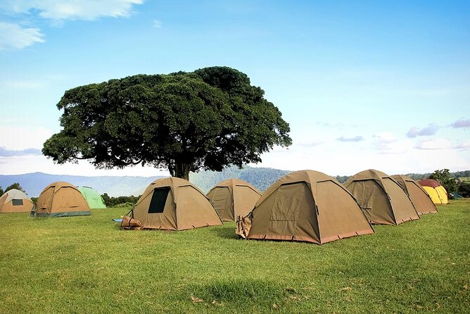 4 Days Serengeti NP, Ngorongoro Crater & Tarangire NP Safari - Day 4: Ngorongoro Crater and the return to Arusha