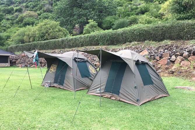 4 Days Serengeti NP, Ngorongoro Crater & Tarangire NP Safari - Camping, meals, and what to clarify
