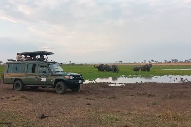 4 Days-SERENGETI SAFARI EXPERENCE START FROM ARUSHA - Why the private format can be worth the price