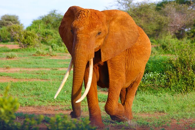 4 Days Tanzania Budget Group Join Safari- Serengeti & Ngorongoro - Why this four-day route works