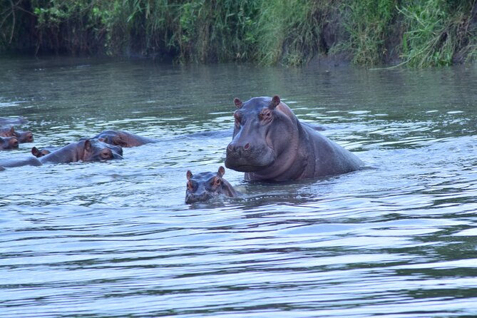 4 Days Tanzania Budget Group Join Safari- Serengeti & Ngorongoro - Day 3: Serengeti to the Ngorongoro Crater