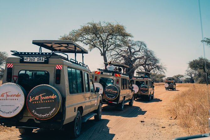 4 Days Tanzania Budget Safari - What $1,320 buys you in Tanzania