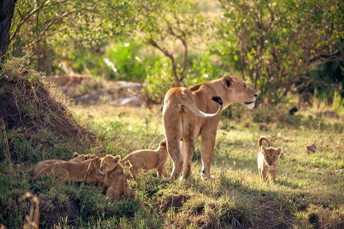 4 Days Tanzania Budget Safari - Day 2: Lake Manyara below the Rift Valley