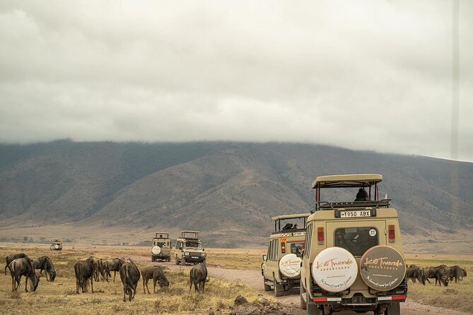4 Days Tanzania Budget Safari - Day 4: Returning to Arusha