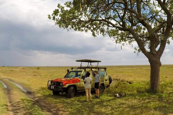 4 Days:tanzania Budget Safari - Why the guide can make or break this safari