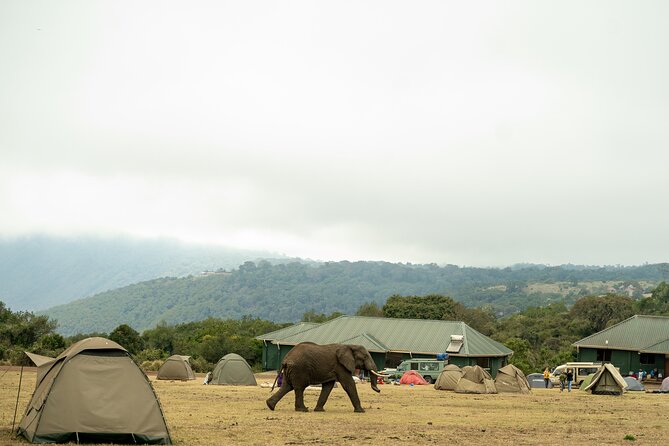 4 Days:tanzania Budget Safari - The main tradeoff: wildlife coverage versus road time