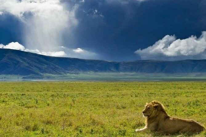 4 days Tanzania Camping Safari - Day 4: Descending into Ngorongoro Crater