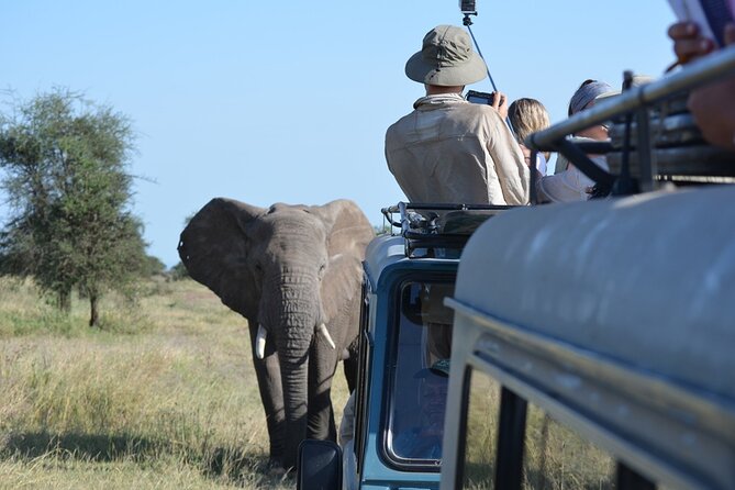 4 Days Tanzania Lodge Safari With Two Nights at Serengeti - Day 1: Tarangire’s elephants and baobabs