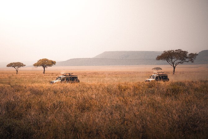 4 Days Tanzania Private Lodge Safari - Why this four-day route works