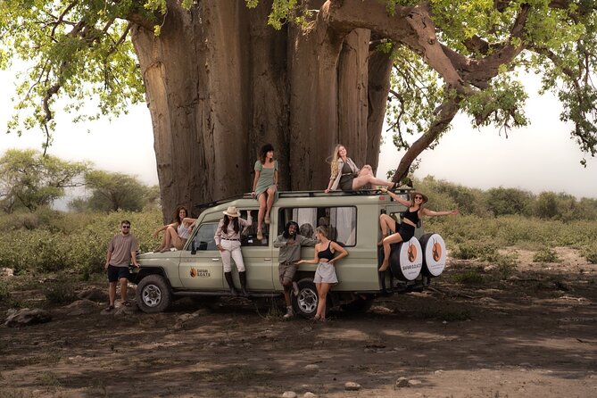 4 Days Tanzania Private Lodge Safari - Day 3: A long Serengeti game drive and crater-side lodging