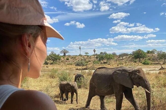 4 Days Tanzania Safari Tour - The long road to the Serengeti on Day 2