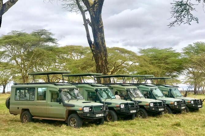 4 Days Tanzania Safari Tour - Food, comfort, and the daily pace