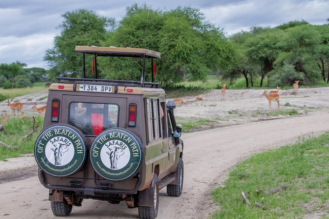 4 Days Tarangire , Ngorongoro ,Manyara and lake Eyasi village - Who should book this safari?