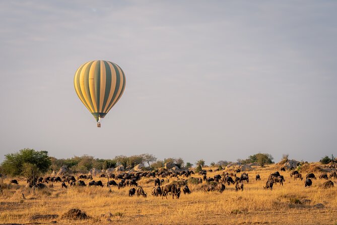 4 Days Tarangire, Serengeti and Ngorongoro Mid-Range Group Safari - Comfort, food, and the mid-range question