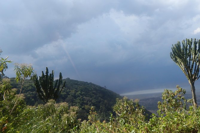 4 days Tarangire, Serengeti & Ngorongoro - Group Size, Pickup, and Daily Practicalities