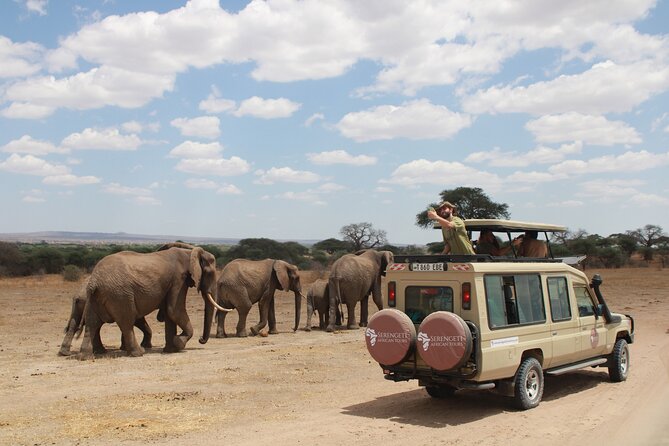 4 Days Tarangire Serengeti Ngorongoro Crater - Day one: elephants and evening light in Tarangire