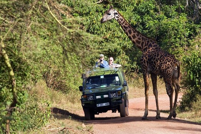 4 Days Tarangire Serengeti Ngorongoro Crater - Who should book this safari?