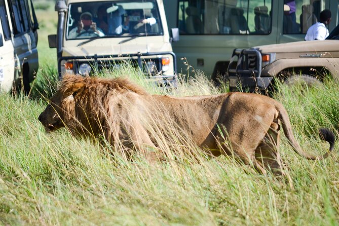 4 Days Tarangire ,Serengeti &Ngorongoro crater group Tour - Why this four-day route works
