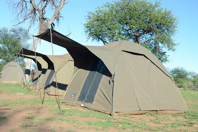 4 Days Tarangire ,Serengeti &Ngorongoro crater group Tour - Day 3: Sunrise in the Serengeti, then onward to Simba Camp