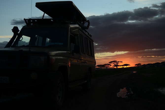 4 Days Tarangire ,Serengeti &Ngorongoro crater group Tour - Who should choose this safari?