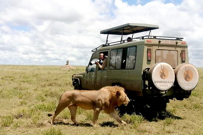 4 Days Tarangire, Serengeti & Ngorongoro Crater Joining Group - Meals, camping equipment, and what to clarify