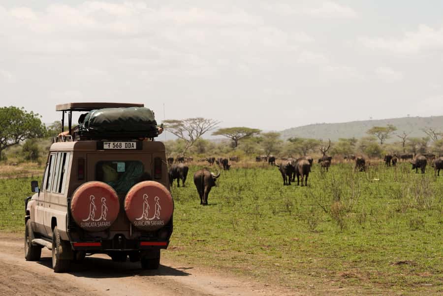 4 Days Tarangire, Serengeti, Ngorongoro Group Camping Safari - Day 1: Tarangire elephants and baobabs from Arusha