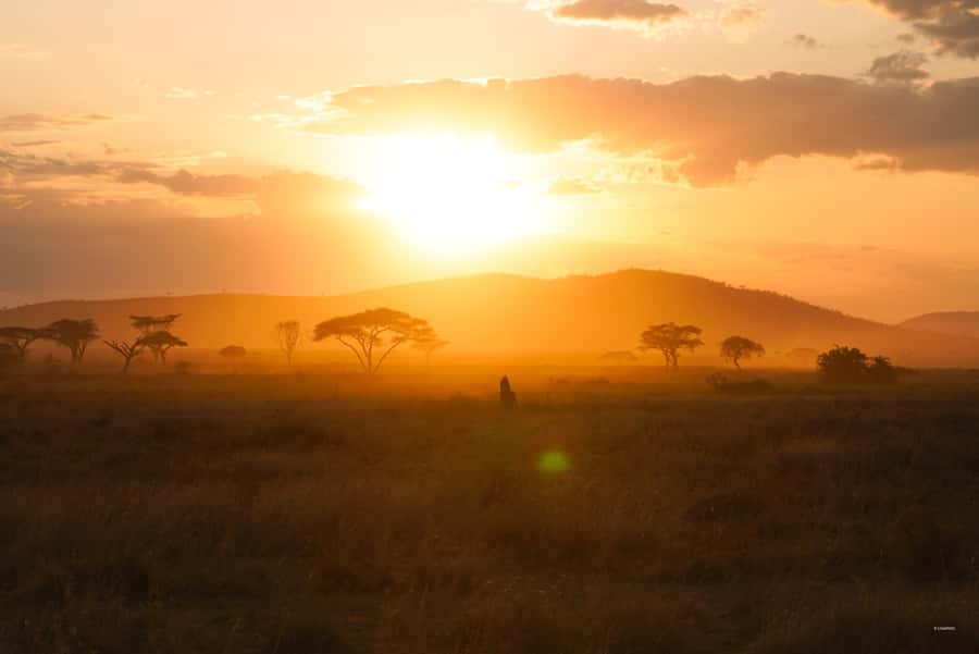 4 Days Tarangire, Serengeti, Ngorongoro Mid-range Safari - Key points at a glance