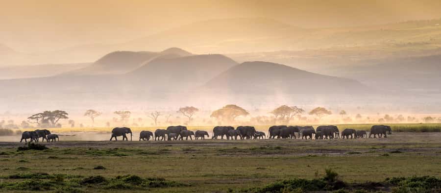 4 Days Tarangire, Serengeti, Ngorongoro Mid-range Safari - Three famous parks, one tightly packed safari