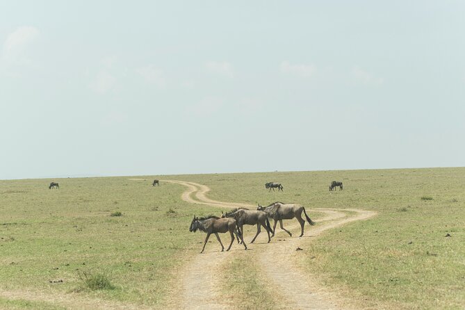 4-Days Tour to Tanzania National parks - Day two: entering the Serengeti plains