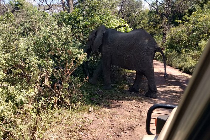 4-Days Tour to Tanzania National parks - Who will enjoy this safari most