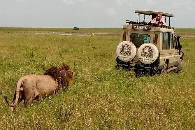 5 Day Adventure Camping Safari to Serengeti, Ngorongoro crater & Tarangire - Key points to know before booking