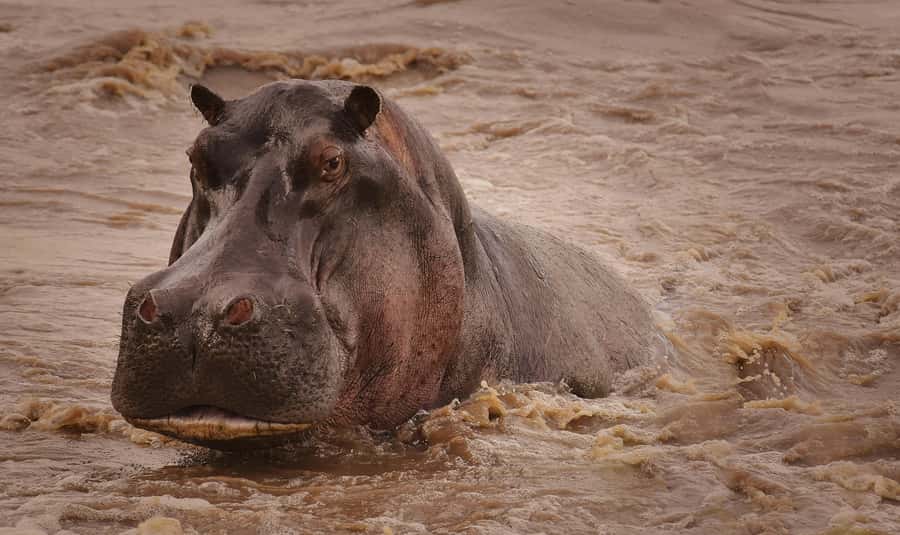 5-day Affordable Joint Group Safari (with Extra Activities) - Key points to know before you book