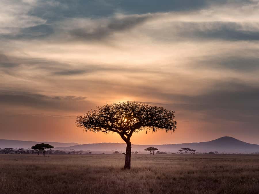 5-day Affordable Joint Group Safari (with Extra Activities) - Why this five-day route works